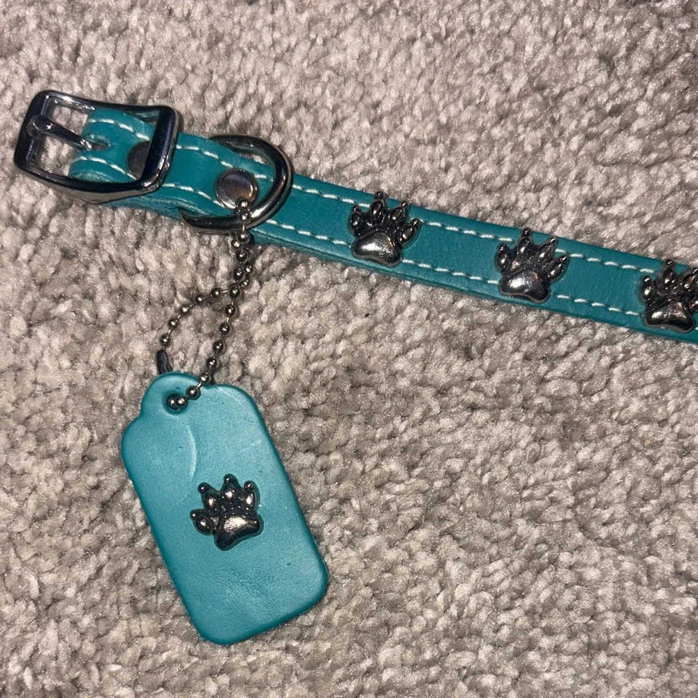 New Omni Pet Leather Teal Dog Collar with Paw Charm xs/s